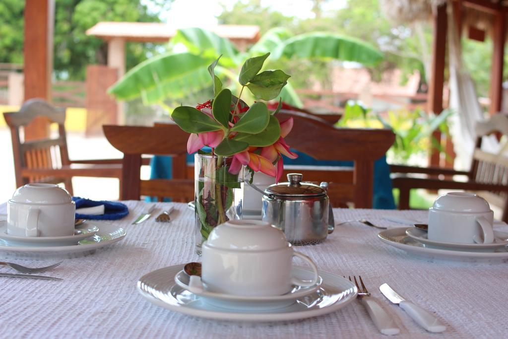 Hotel Pousada Paraiso Dos Ipes Jijoca de Jericoacoara Zewnętrze zdjęcie